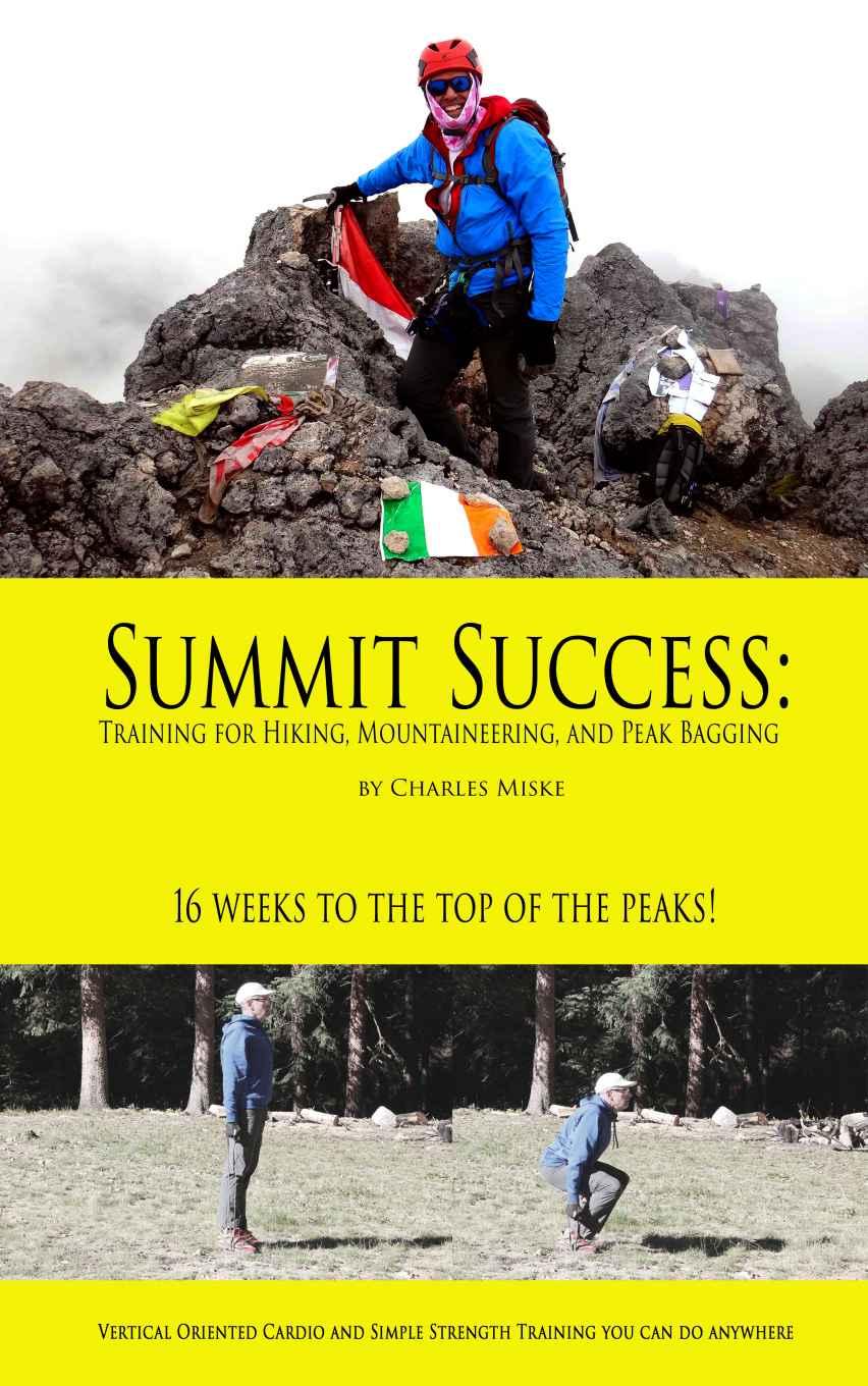 Summit Success Book Cover